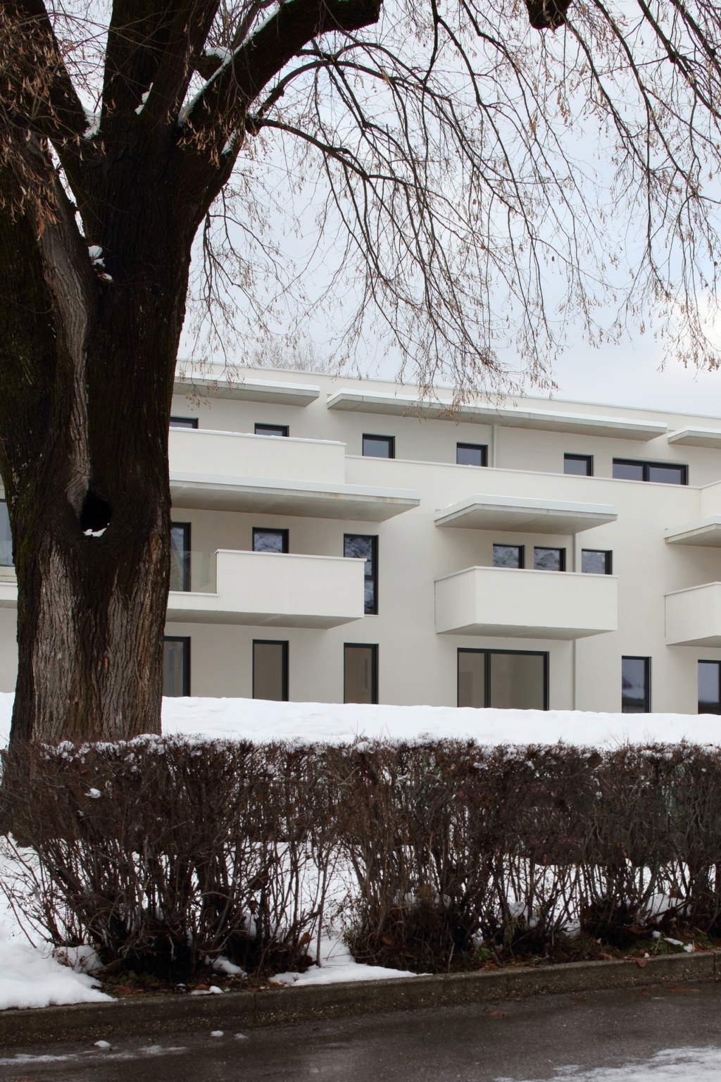 Wohnbau Vassach 2, Villach, Auftraggeber/Bauherr: Bednarzek & Schnitzer Immobilien, Abbildung: Außenfassade, Detailansicht